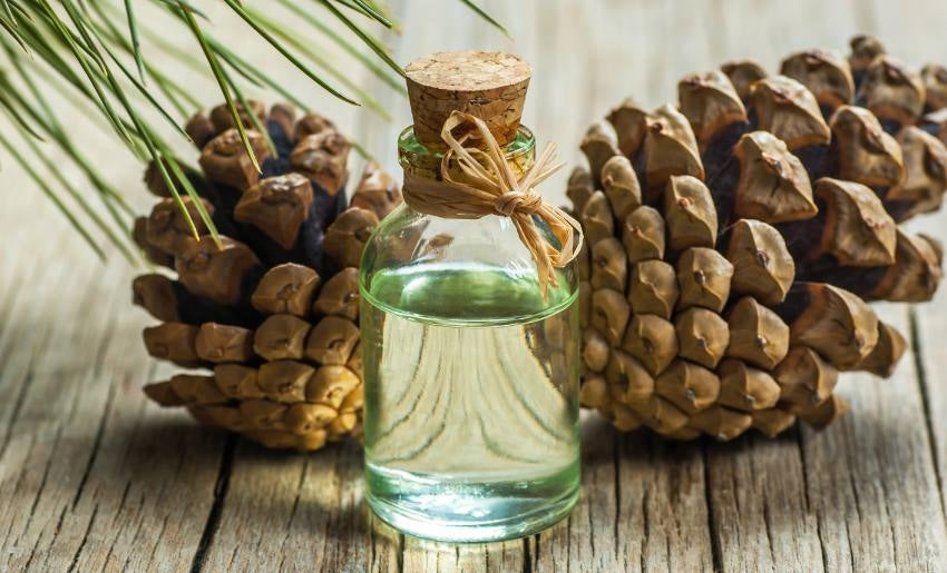 Still Using Turpentine for Kintsugi? – The Pros and Cons of Using Turpentine